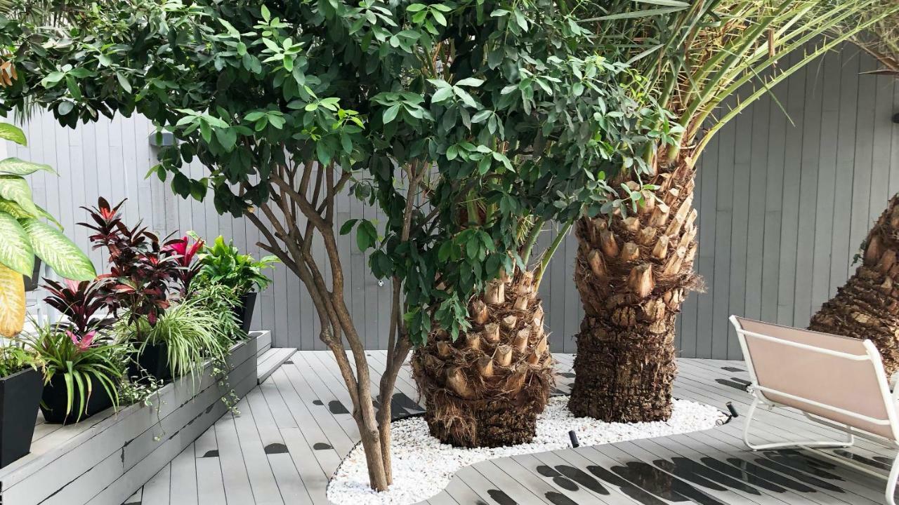 Calypso Boutique Apartments 波多黎各 外观 照片